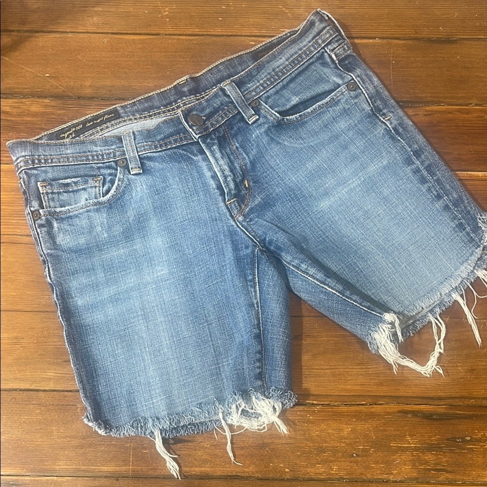 Citizen Blue Denim Jean Shorts with Frayed Hem